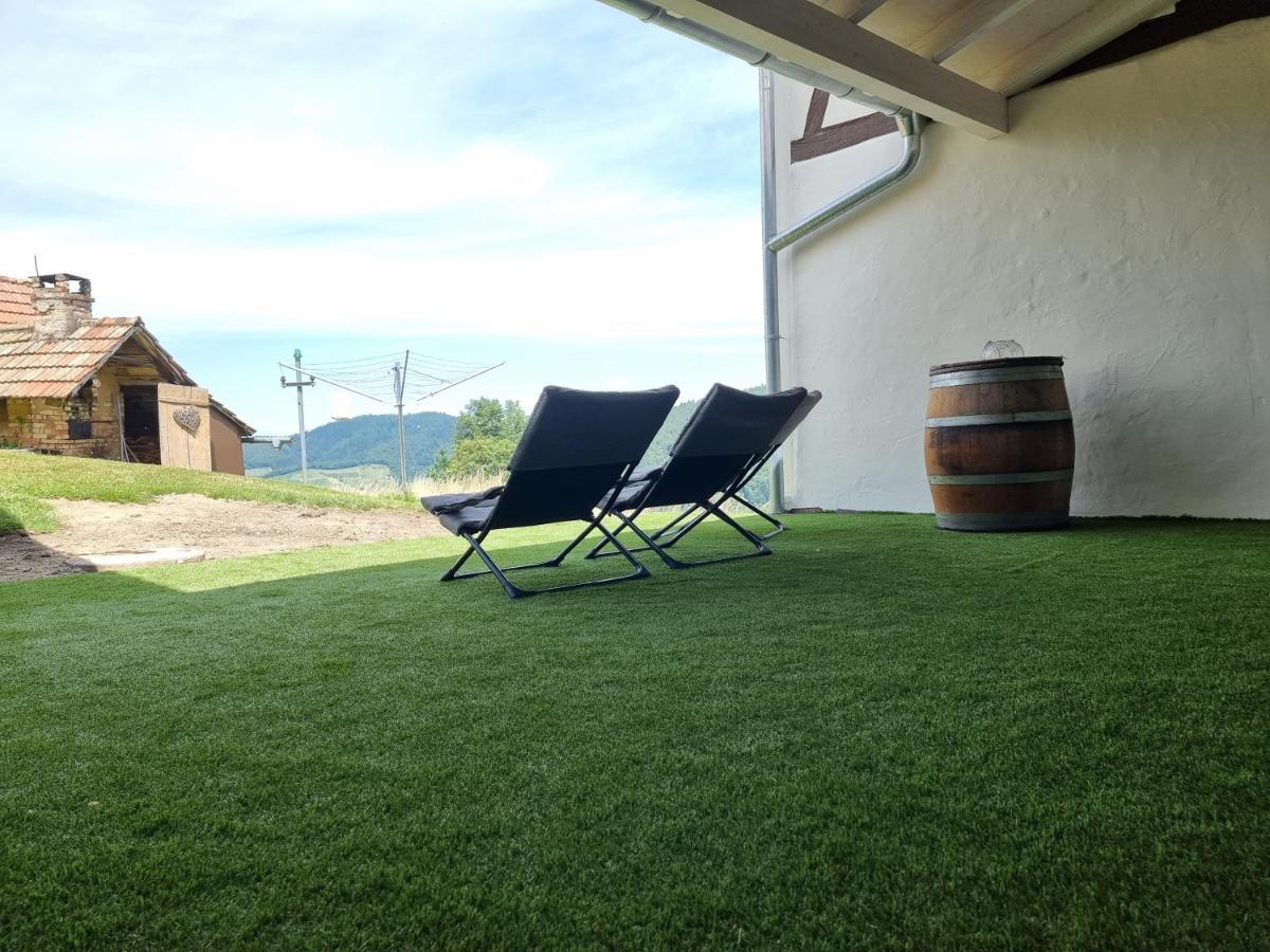 Haus Am Berg Mit Wellnessbereich, Bar Und Panorama Villa Bühlertal Dış mekan fotoğraf