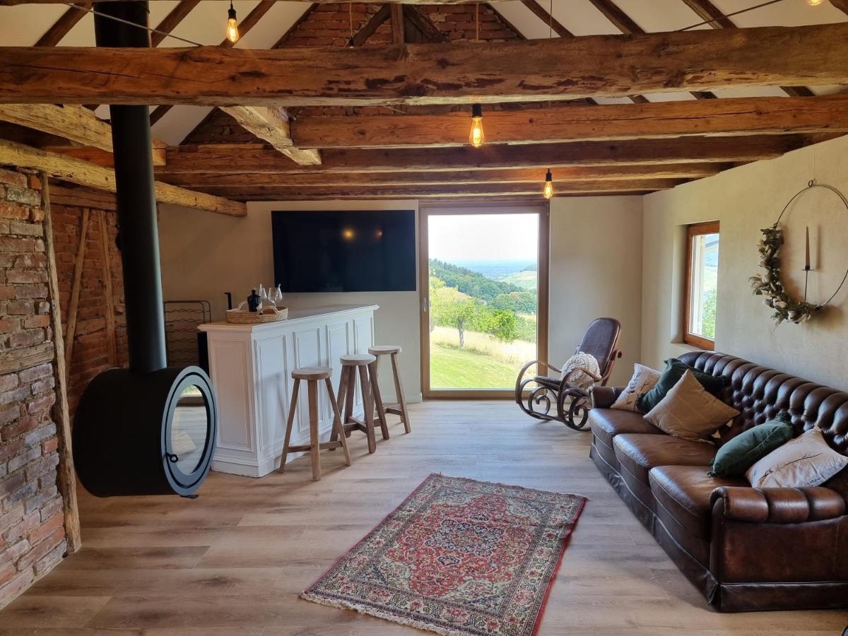 Haus Am Berg Mit Wellnessbereich, Bar Und Panorama Villa Bühlertal Dış mekan fotoğraf