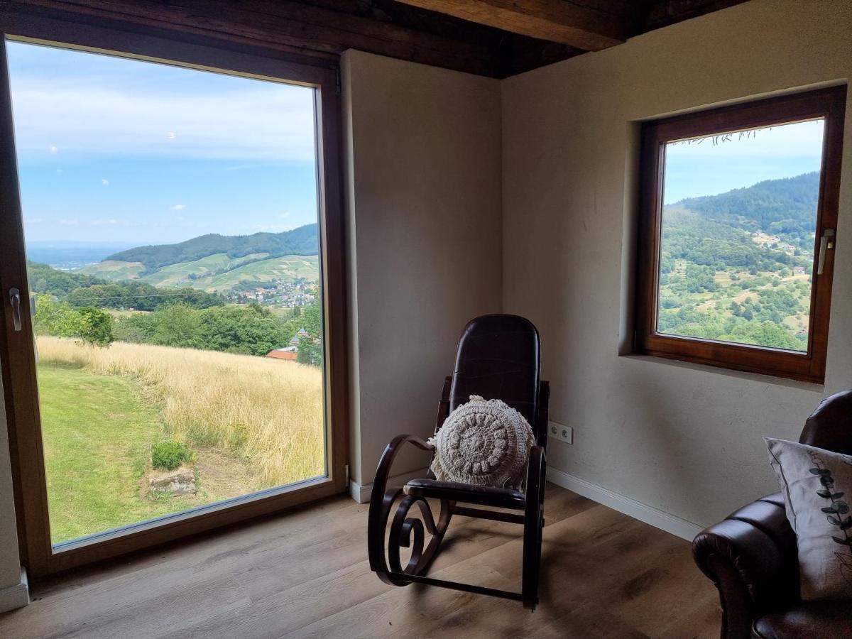 Haus Am Berg Mit Wellnessbereich, Bar Und Panorama Villa Bühlertal Dış mekan fotoğraf