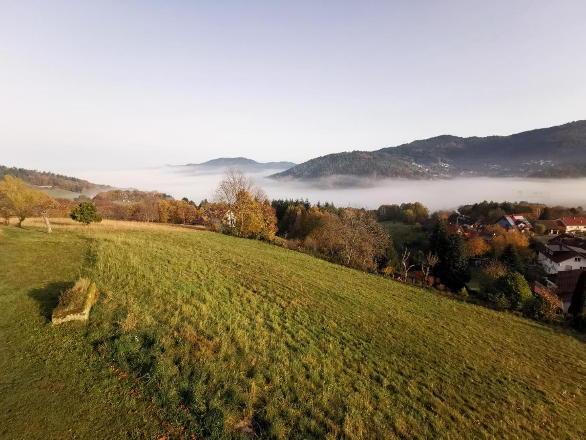 Haus Am Berg Mit Wellnessbereich, Bar Und Panorama Villa Bühlertal Dış mekan fotoğraf