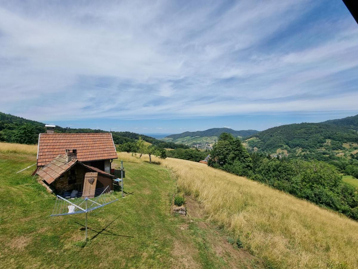 Haus Am Berg Mit Wellnessbereich, Bar Und Panorama Villa Bühlertal Dış mekan fotoğraf