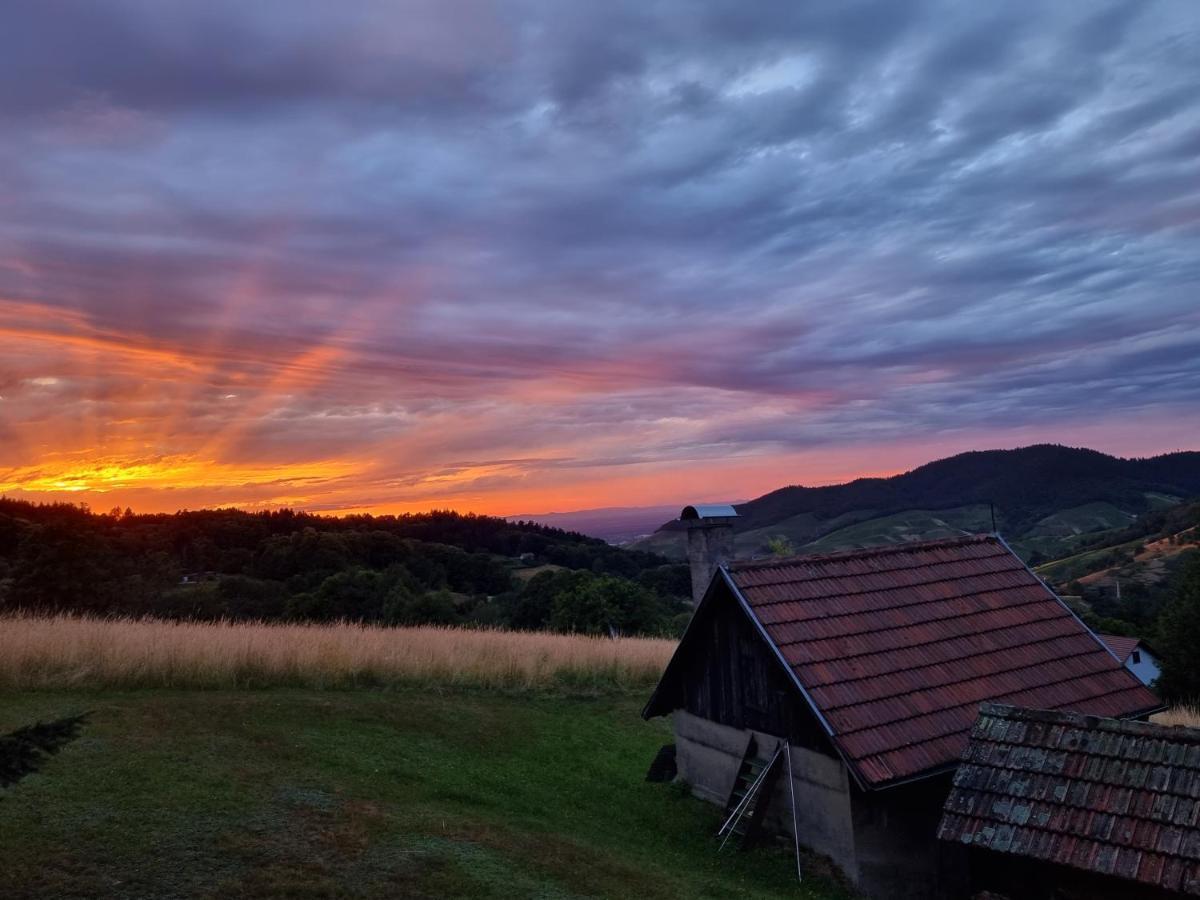 Haus Am Berg Mit Wellnessbereich, Bar Und Panorama Villa Bühlertal Dış mekan fotoğraf