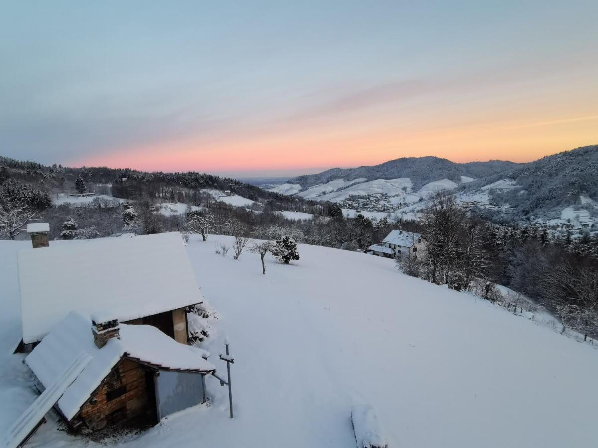 Haus Am Berg Mit Wellnessbereich, Bar Und Panorama Villa Bühlertal Dış mekan fotoğraf