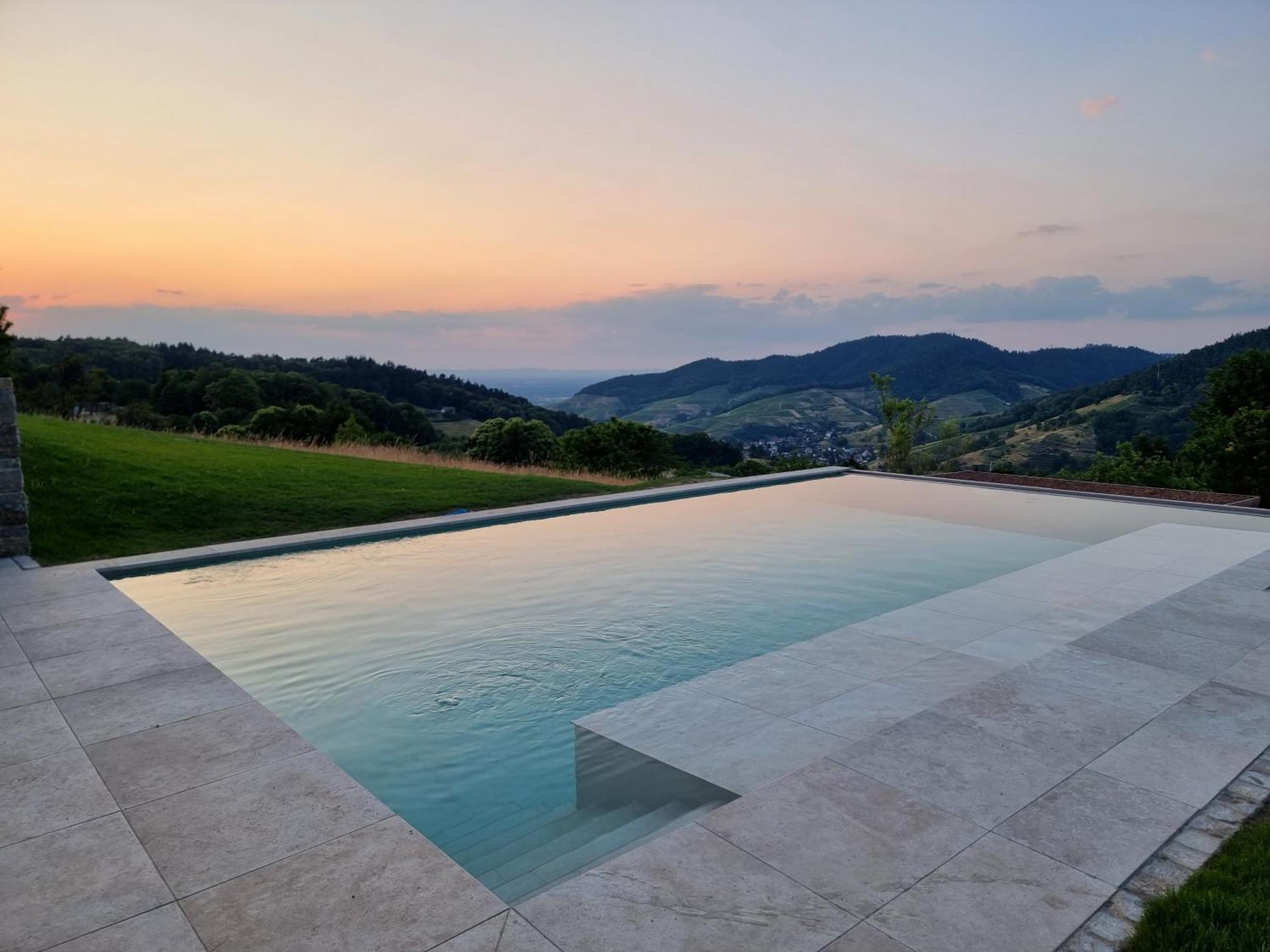 Haus Am Berg Mit Wellnessbereich, Bar Und Panorama Villa Bühlertal Dış mekan fotoğraf